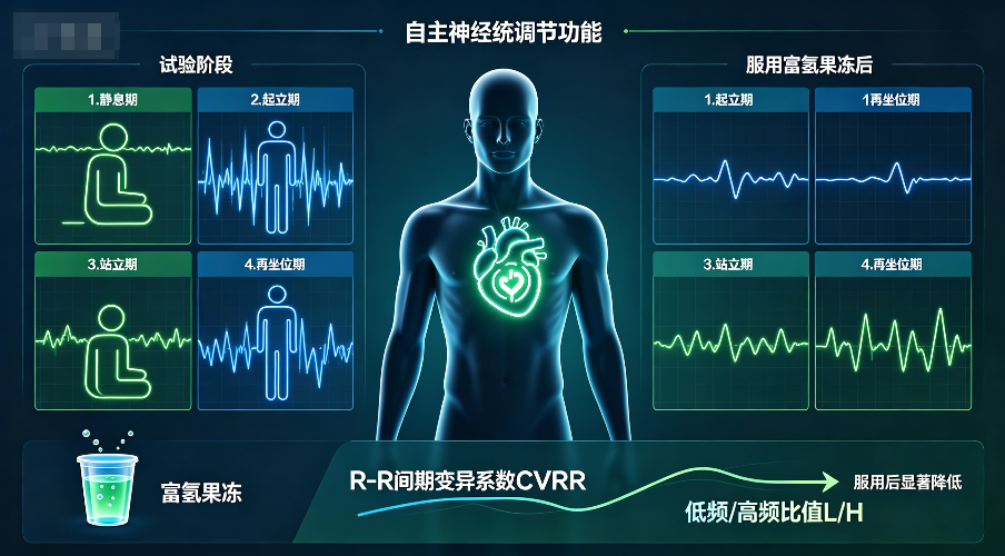 富氢果冻对健康成人直立负荷心率变异性的积极影响