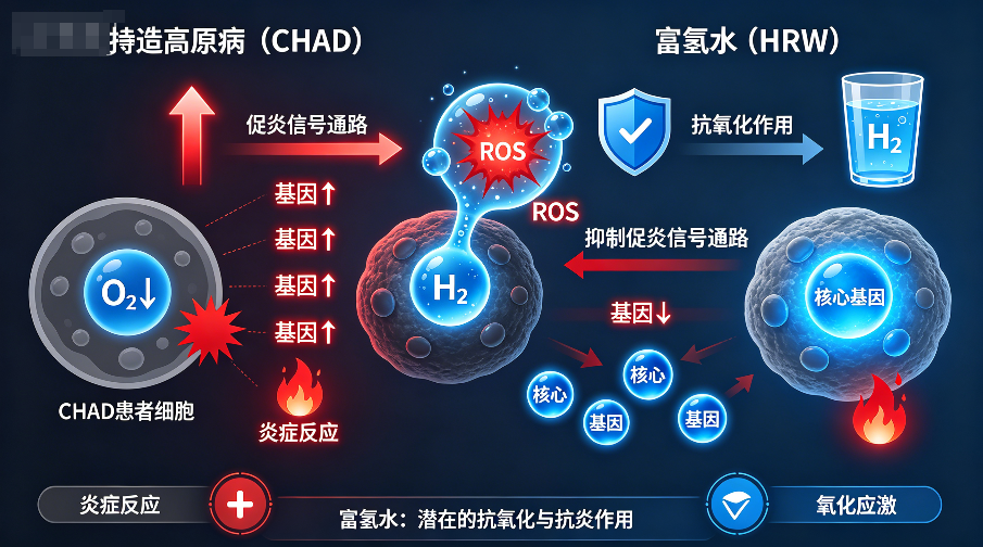 慢性高原病富氢水RCT