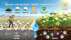 电解富氢技术助力新疆百万亩棉花种植