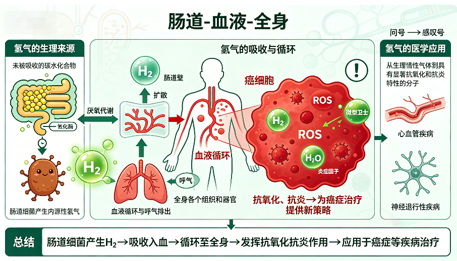 氢气用于癌症治疗的潜力【波兰】2023年