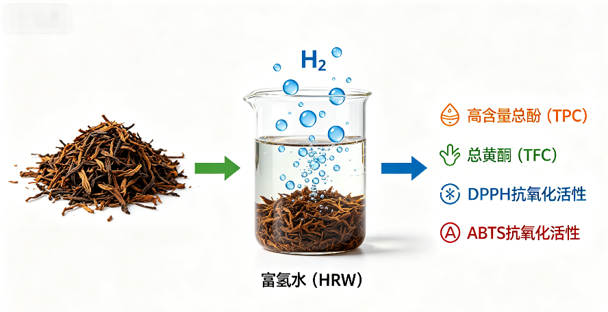 氢水泡茶茶更浓