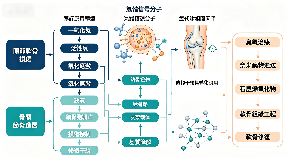 Roles of gas molecules and related factors in knee cartilage injury and repair: a bibliometric visualization analysis of research hotspots.