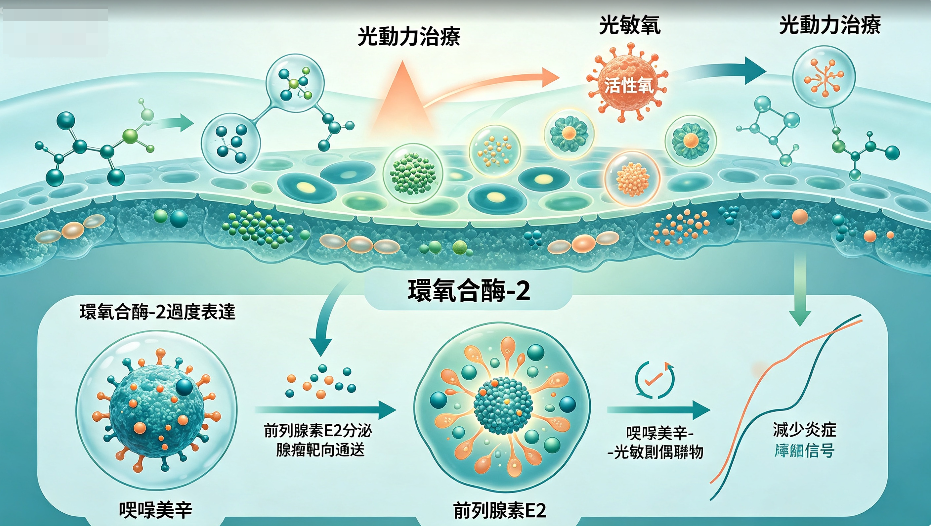 Photodynamic therapy based on indomethacin-conjugated photosensitizers: targeting cyclooxygenase-2 in cancer treatment.