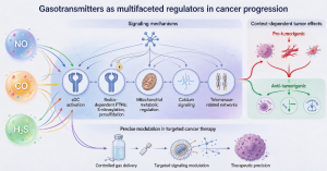 Gasotransmitters in cancers: multiple mechanisms, crosstalk, and therapeutic implications.