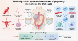 Medical gases and hypertensive disorders of pregnancy: therapeutic mechanisms and research advances.