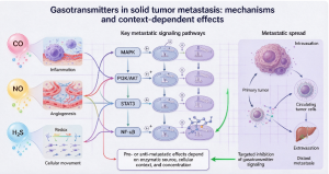 Gasotransmitters in cancer metastasis: insights from the biology of carbon monoxide, nitric oxide, and hydrogen sulfide.